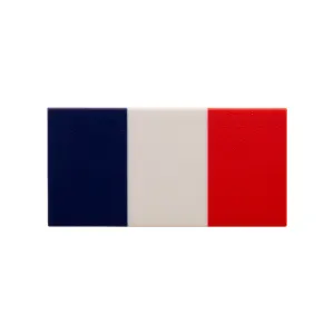 France Flag